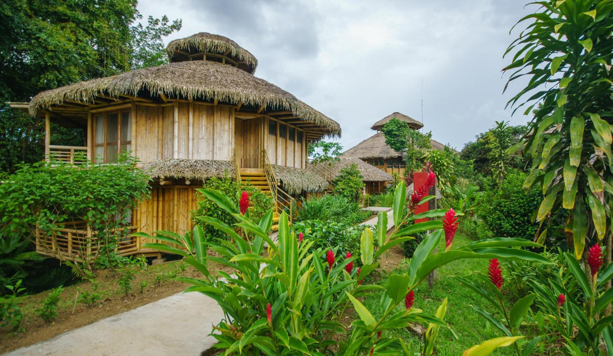 La Selva Eco-Lodge & Retreat Providencia Екстер'єр фото