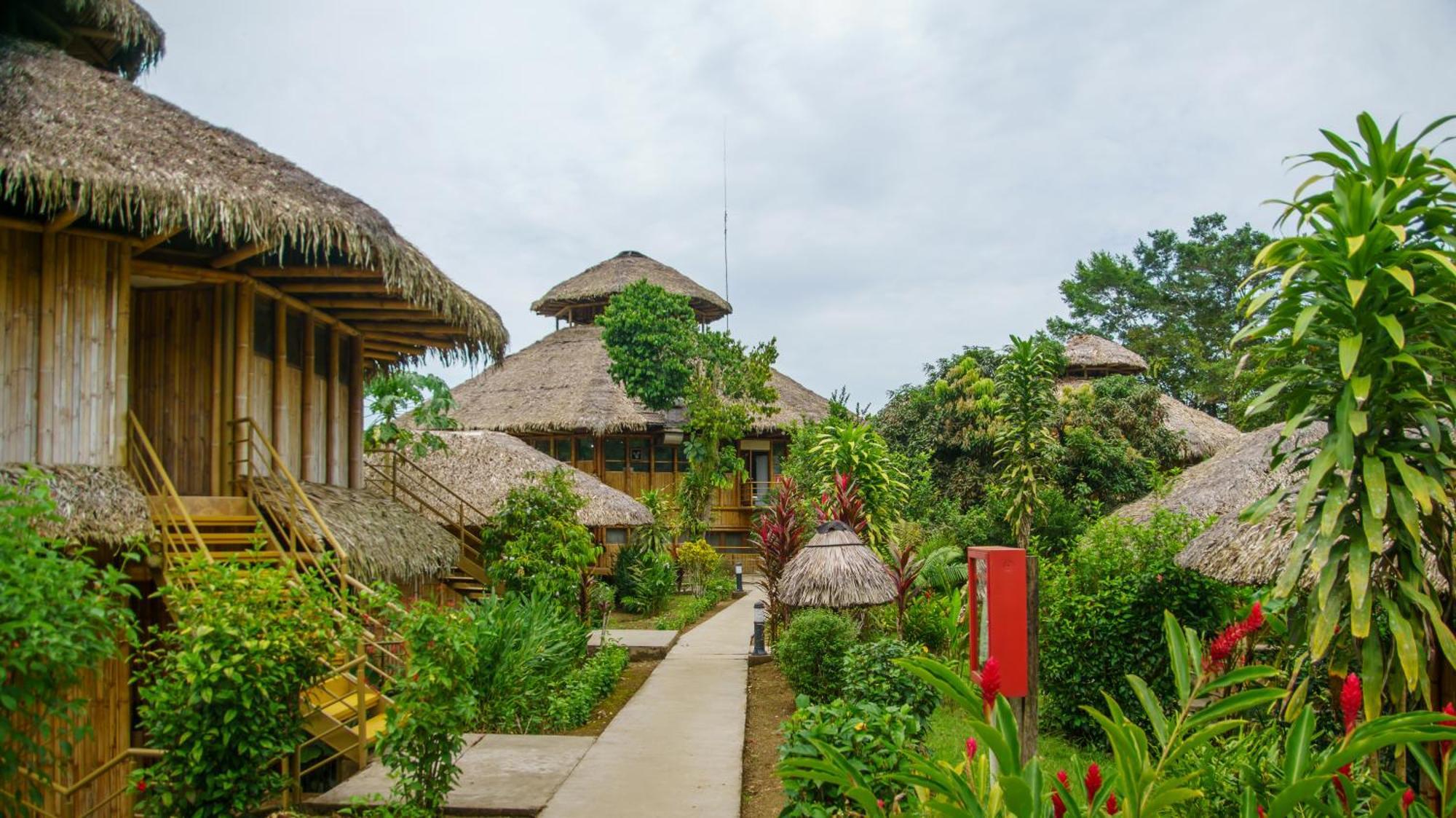 La Selva Eco-Lodge & Retreat Providencia Екстер'єр фото