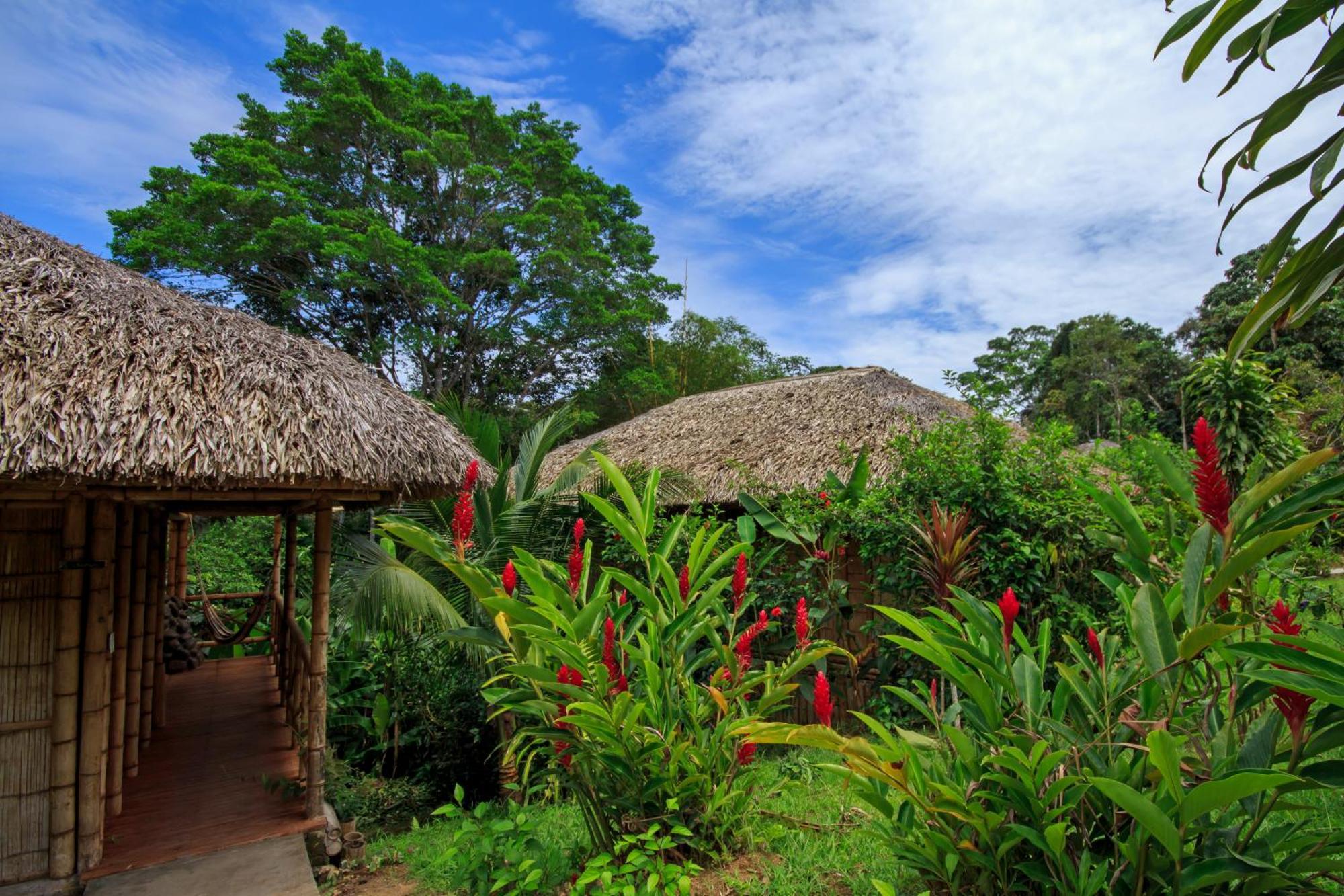 La Selva Eco-Lodge & Retreat Providencia Екстер'єр фото