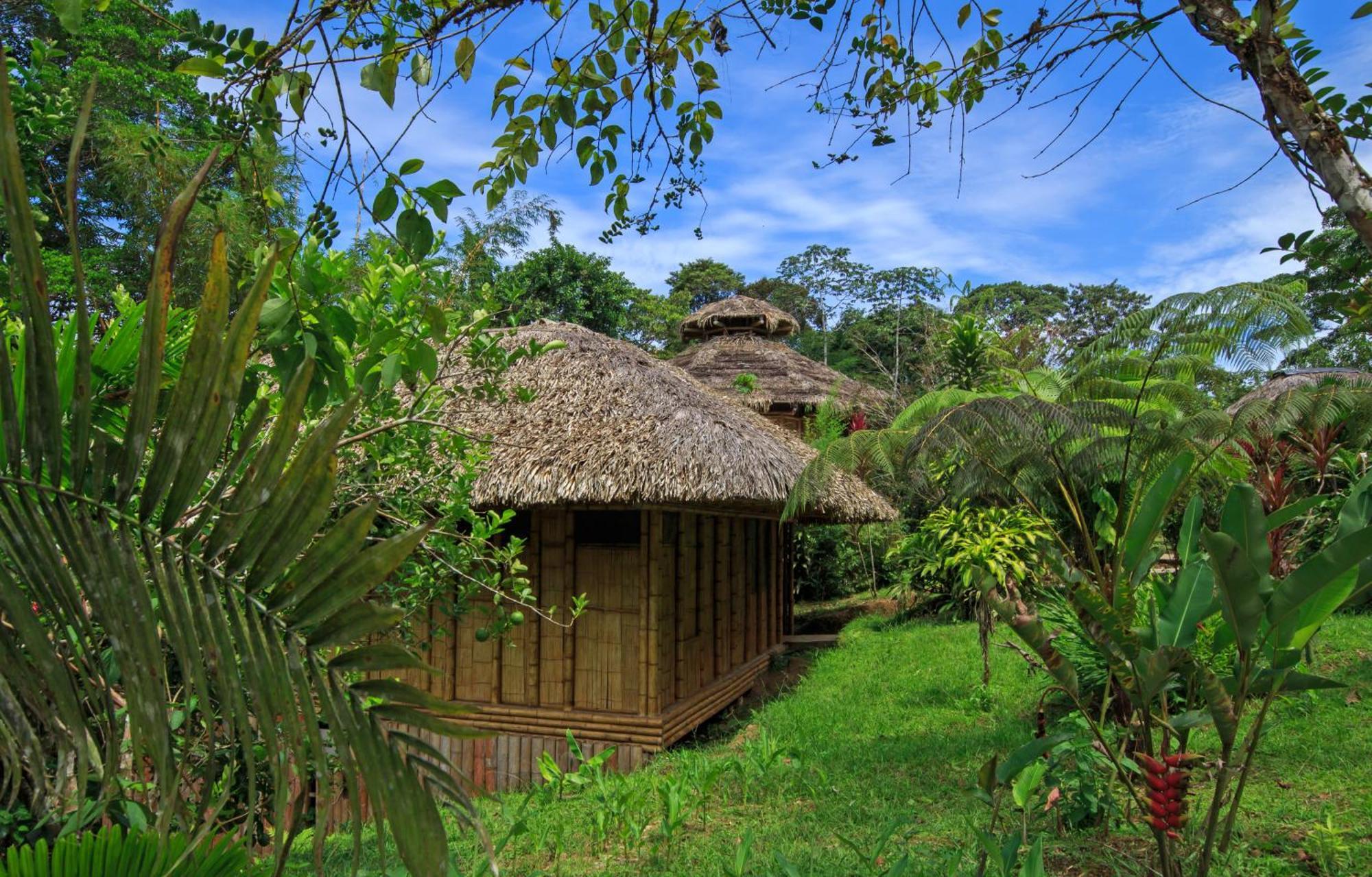 La Selva Eco-Lodge & Retreat Providencia Екстер'єр фото