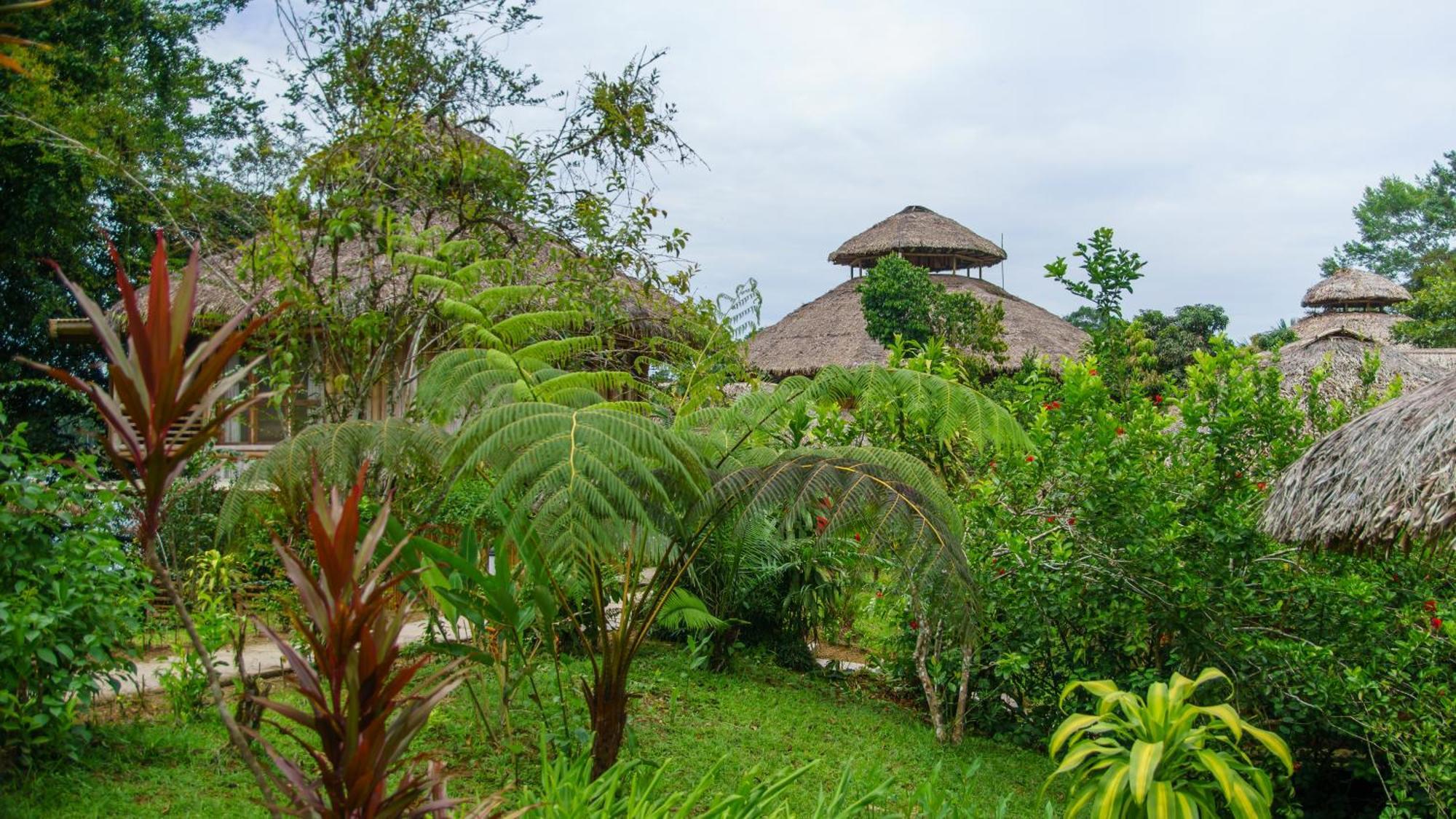 La Selva Eco-Lodge & Retreat Providencia Екстер'єр фото